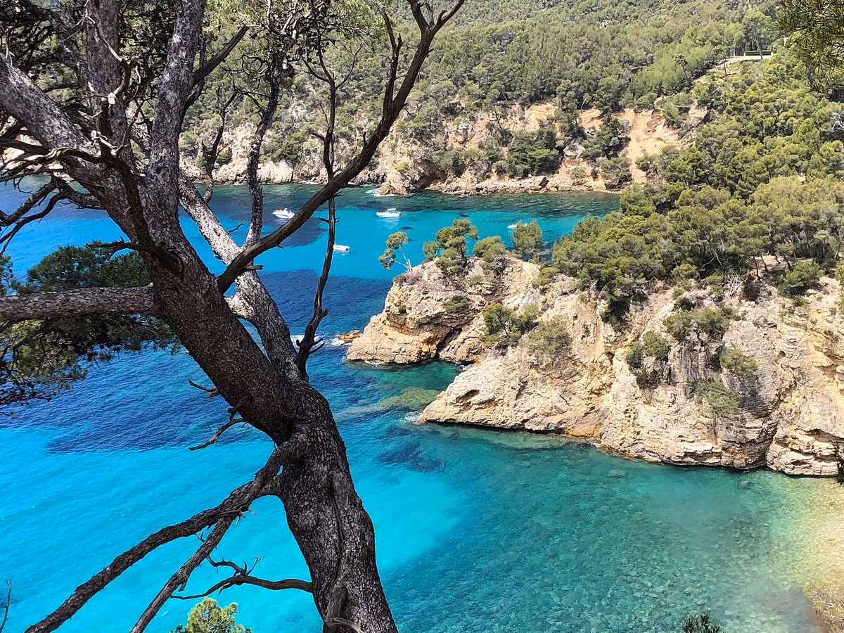 Les calanques de Port d'Alon & la nature