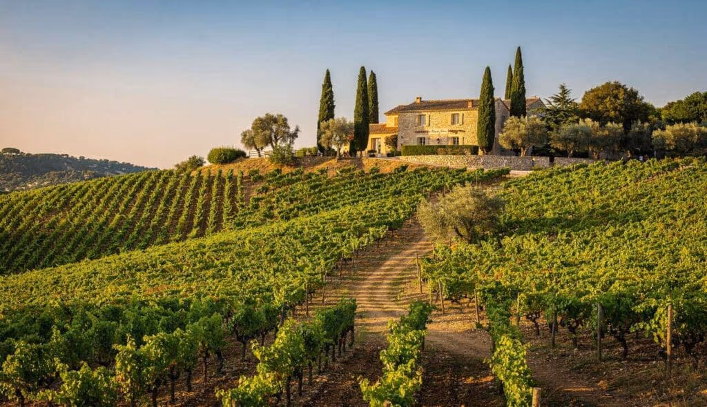 Les vignobles de Bandol